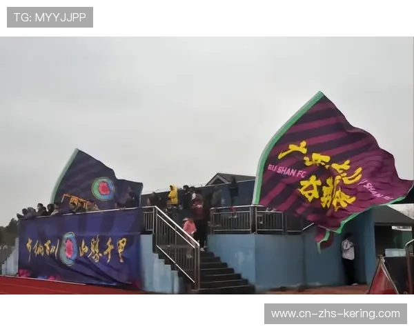 球迷行为研究项目，赛场氛围优化建议